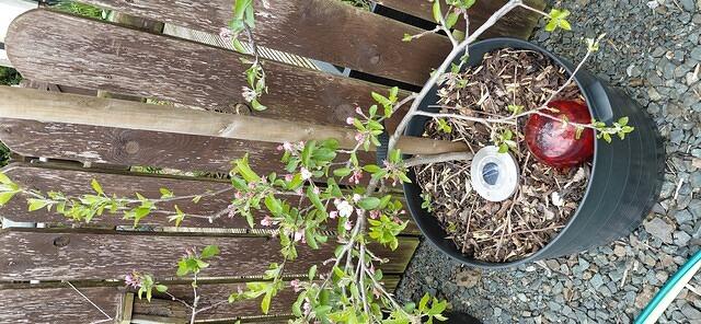 20260421 110501