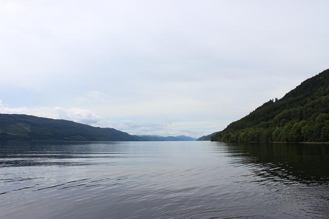 IMG 0493