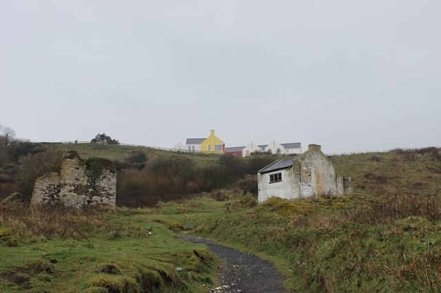 IMG 3474