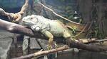 Exploris Aquarium, Portaferry, Newtownards