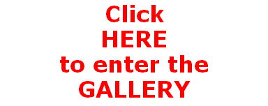 Click
HERE
to enter the 
GALLERY